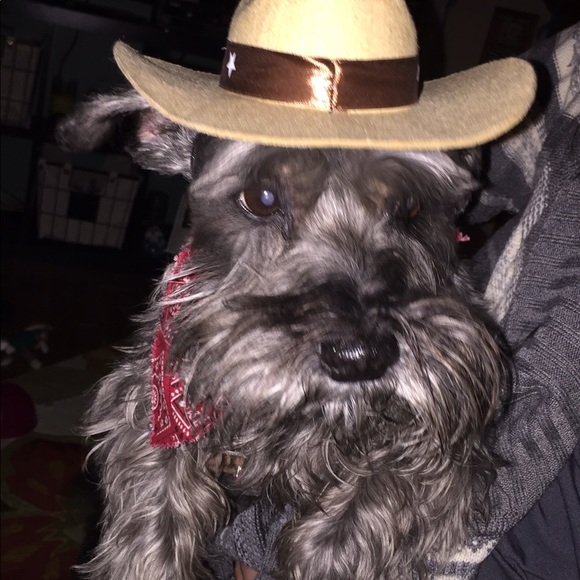 Meet your Posher, Terri - Picture 3 of 12